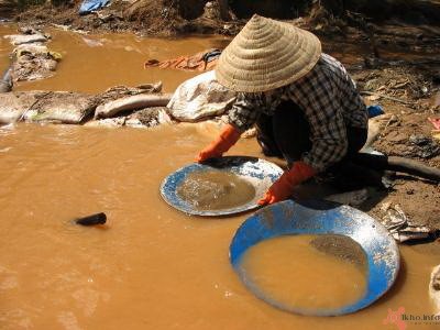 Trong phân người có chứa kim loại quý như vàng, bạc